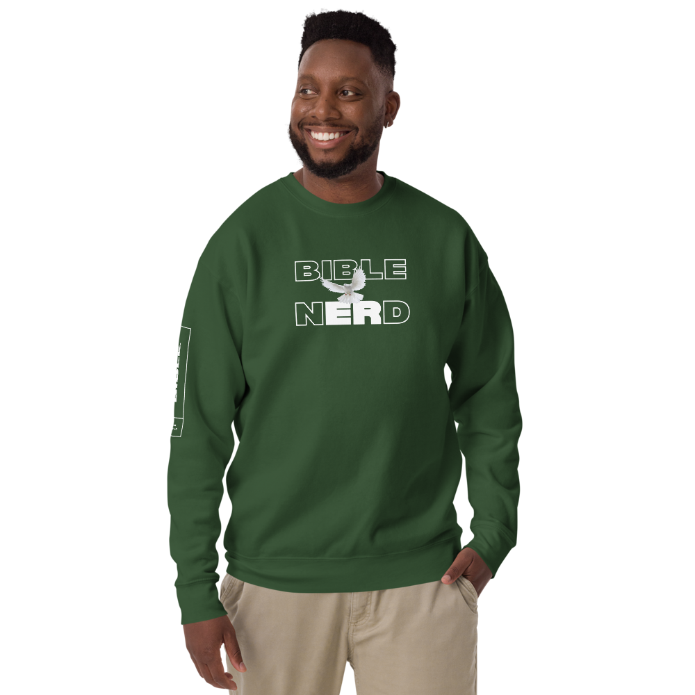 BIBLE NERD Premium Sweatshirt | Various Colors