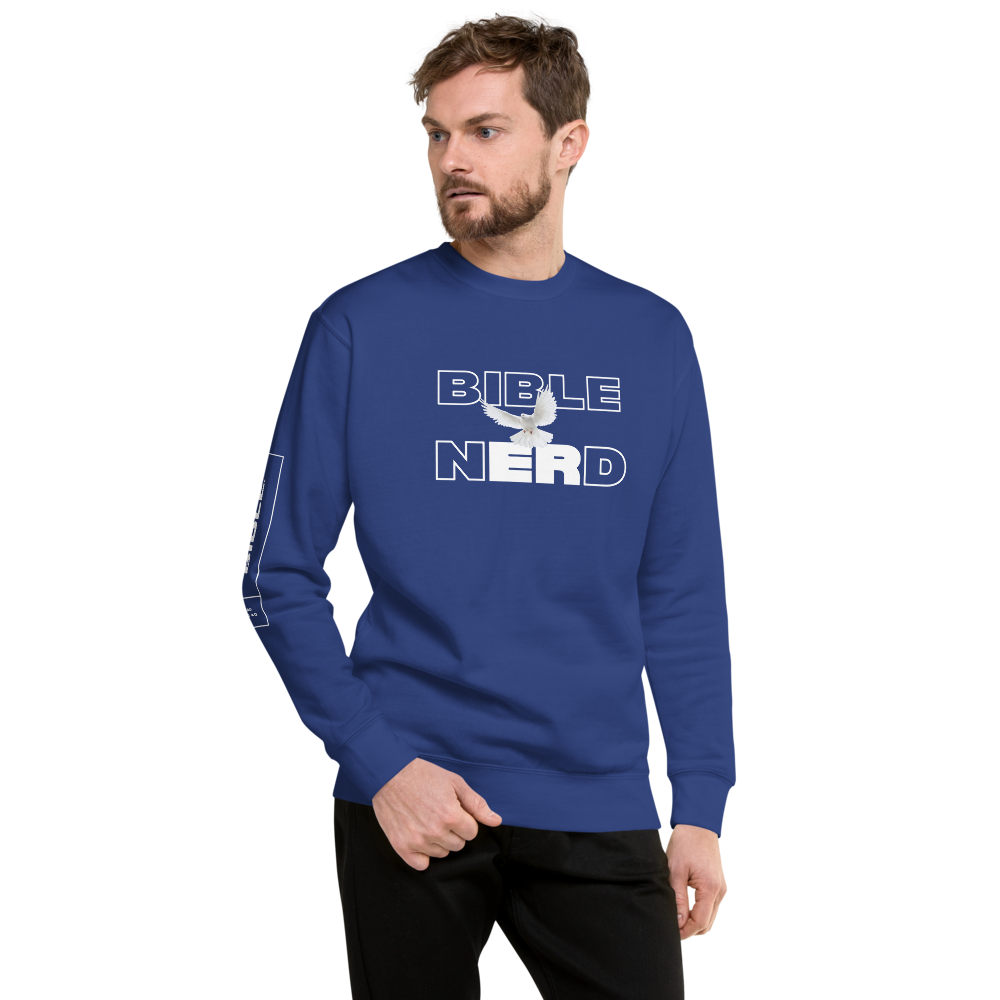 BIBLE NERD Premium Sweatshirt | Various Colors